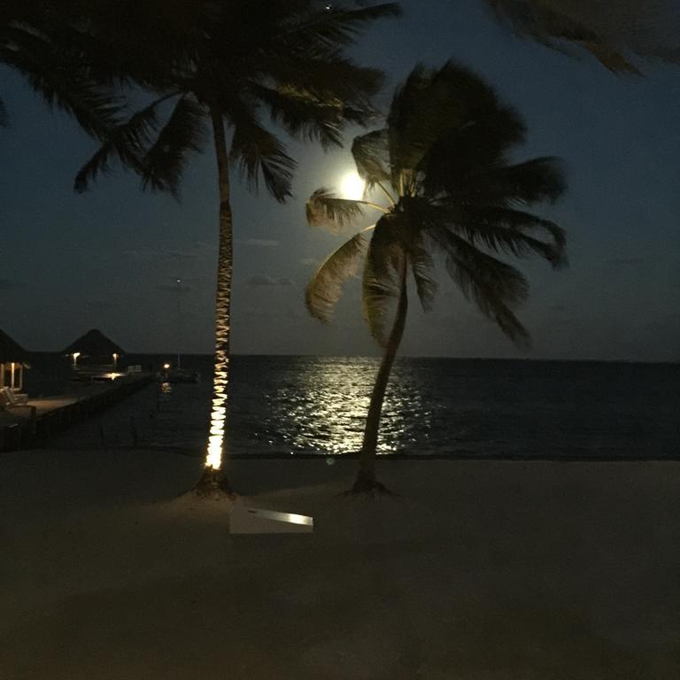 The Palapa House 3*