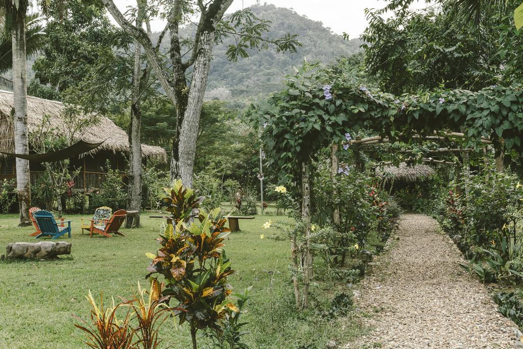 Bocawina Rainforest Resort Hopkins