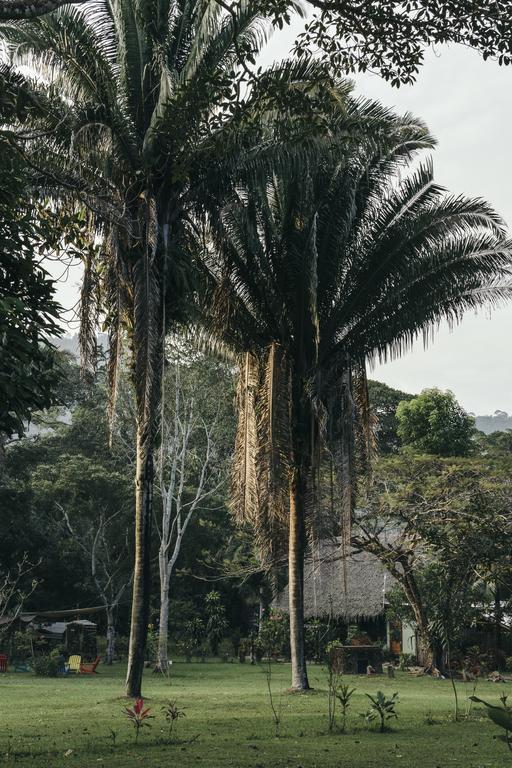 Resort Bocawina Rainforest Hopkins