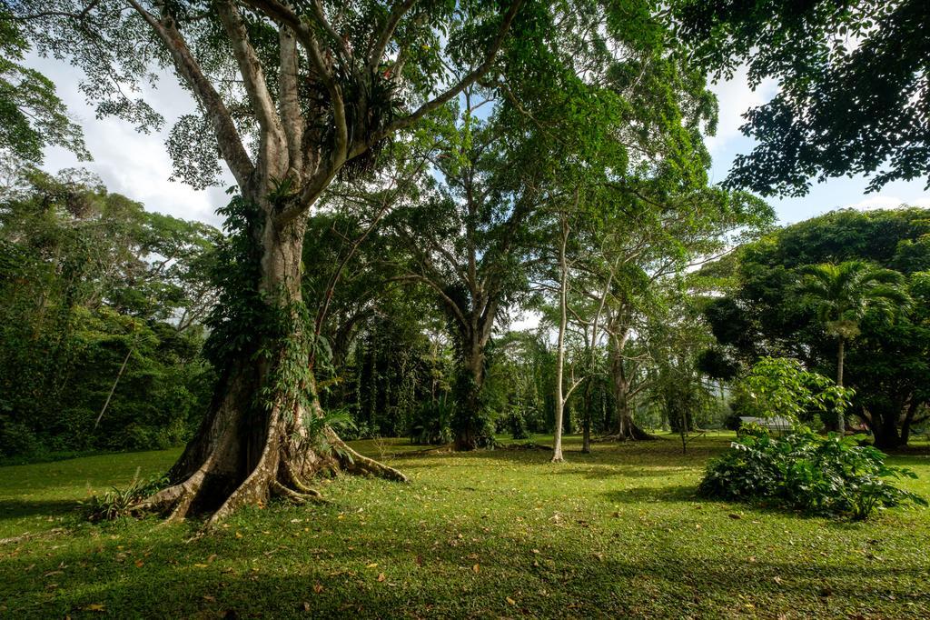 Resort Bocawina Rainforest 4*