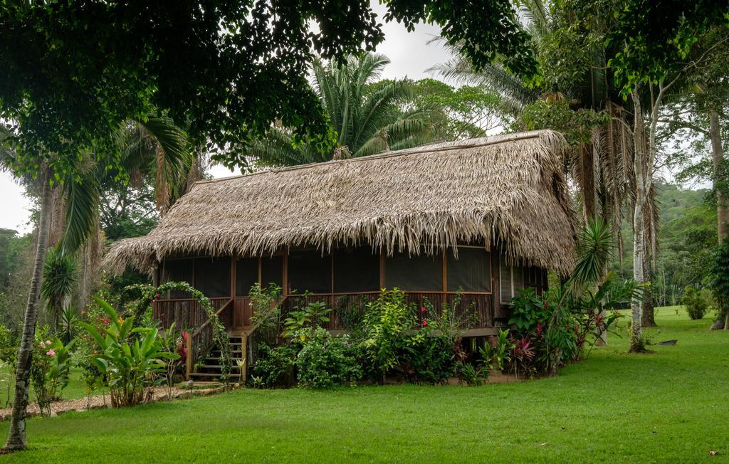 Bocawina Rainforest Resort