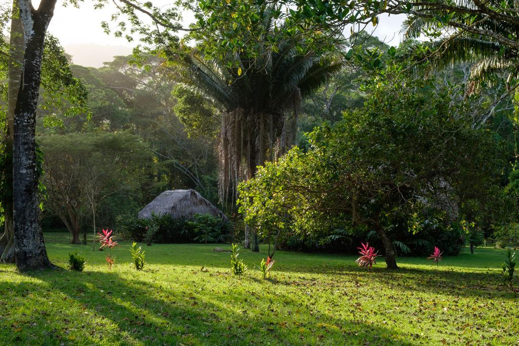 Bocawina Rainforest