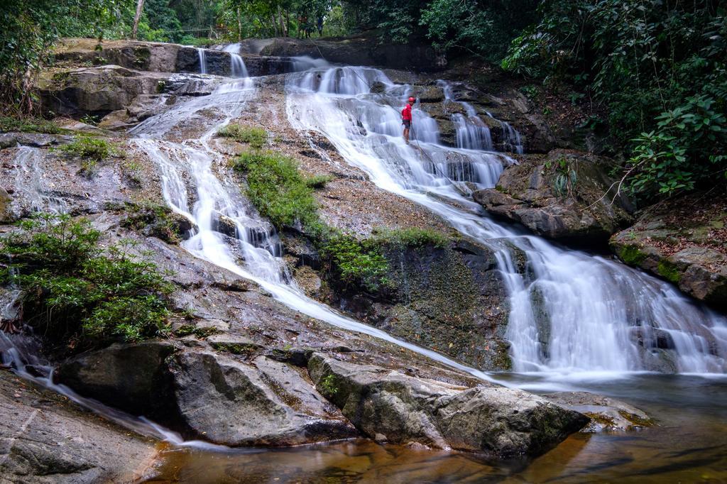 Bocawina Rainforest