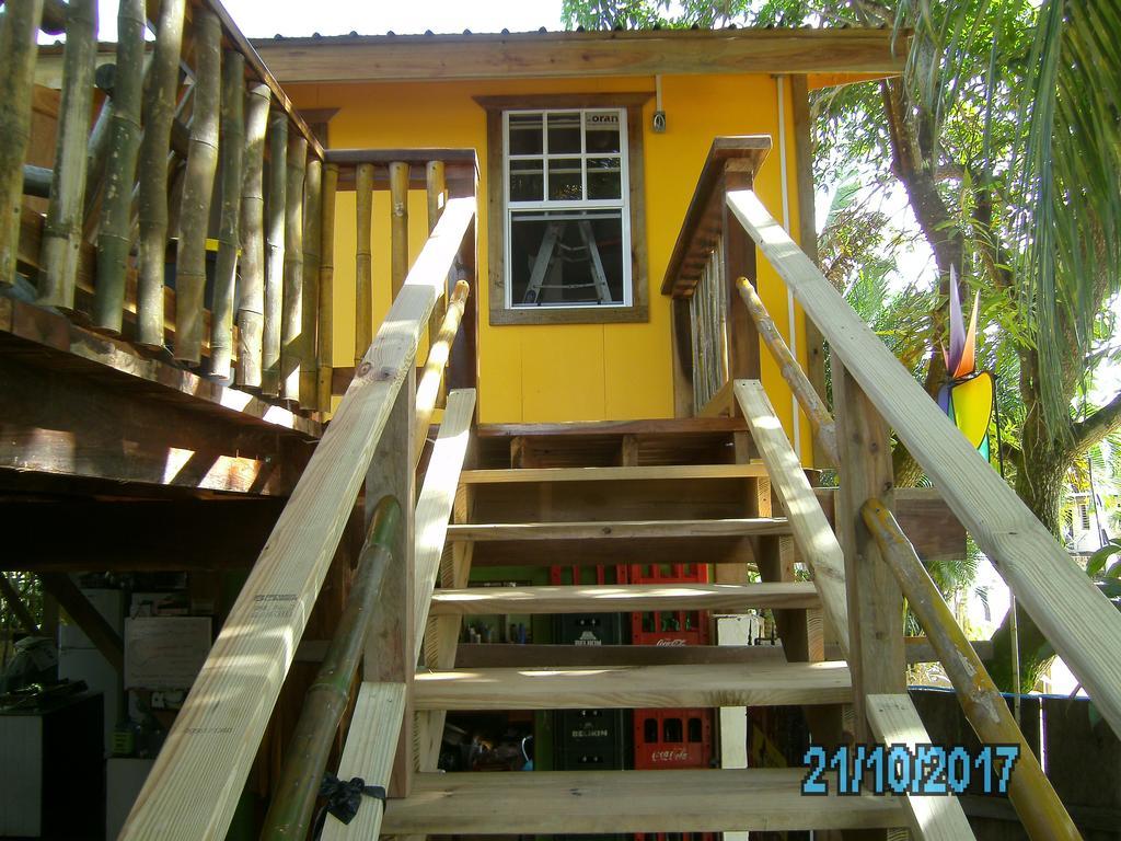 The Funky Dodo Backpackers Hostel *