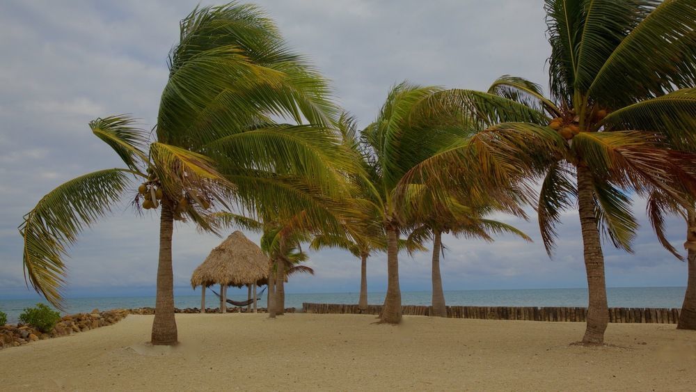 Royal Belize Resort
