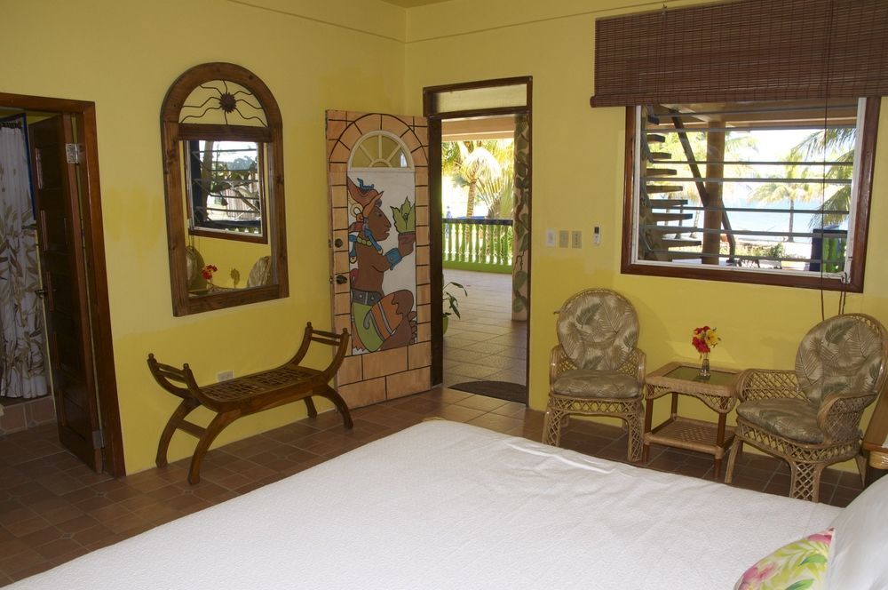 Coconut Row 3*