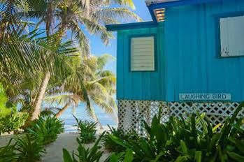 Hotel Ranguana Caye 3*