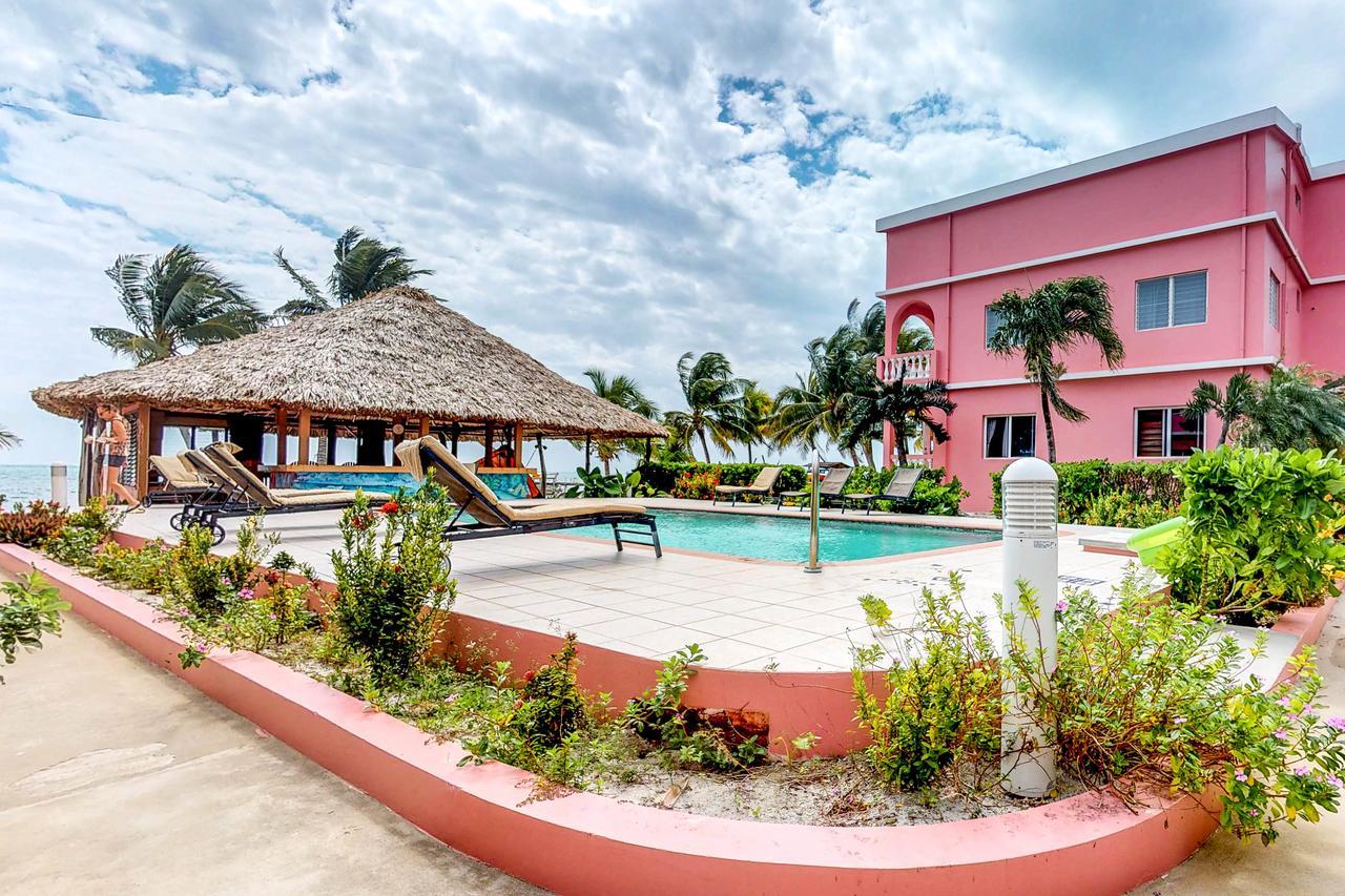 Cacao @ Caribe Island * San Pedro (Ambergris Caye)