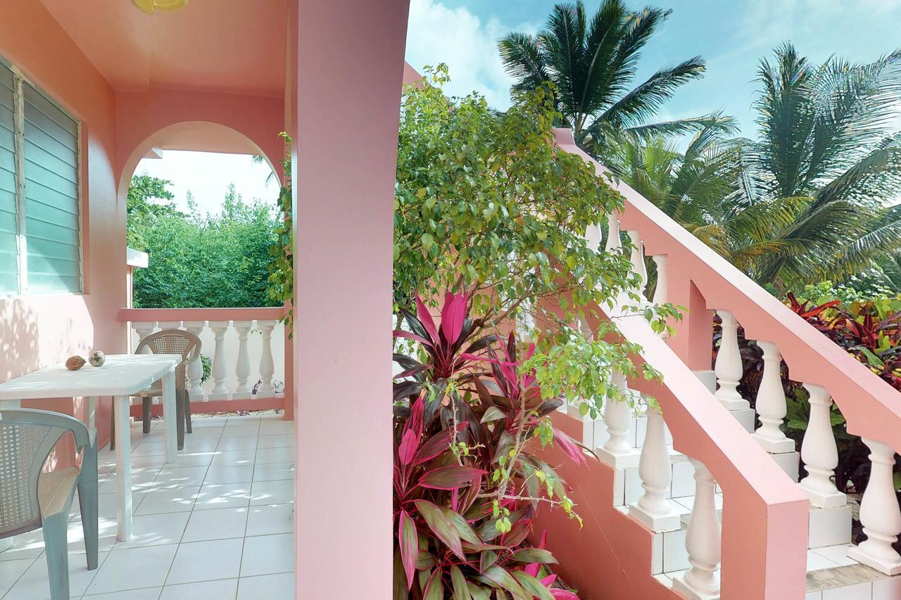 Plumeria @ Caribe Island * San Pedro (Ambergris Caye)