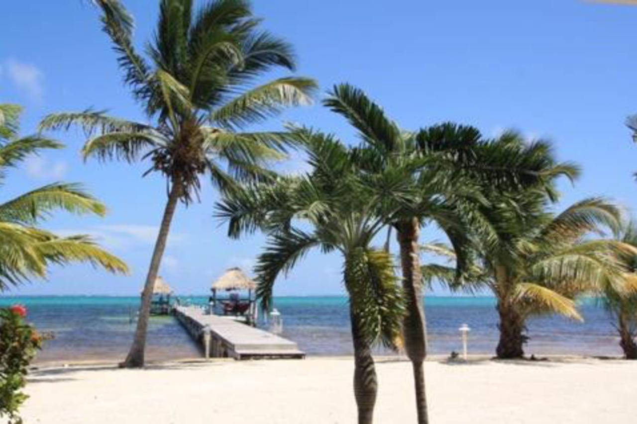 Bird Of Paradise @ Caribe Island * San Pedro (Ambergris Caye)