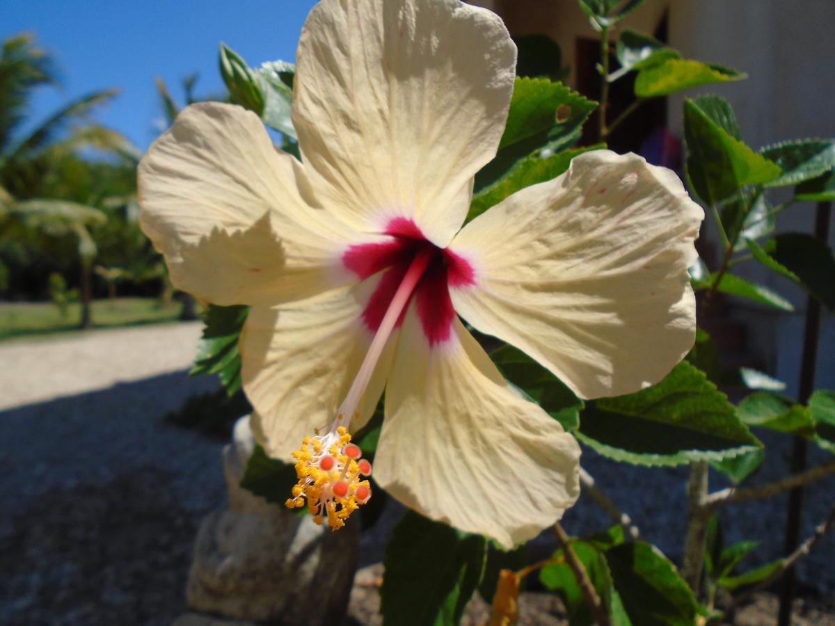 Serenity Sands Bed & Breakfast