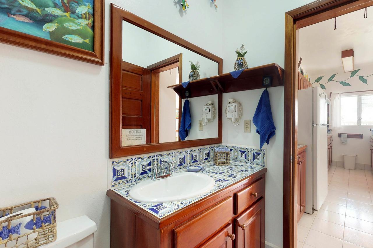 Apartment Caribe Island 1 Bedroom #20