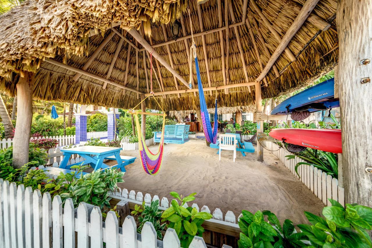 Blue Tang Hotel San Pedro (Ambergris Caye)
