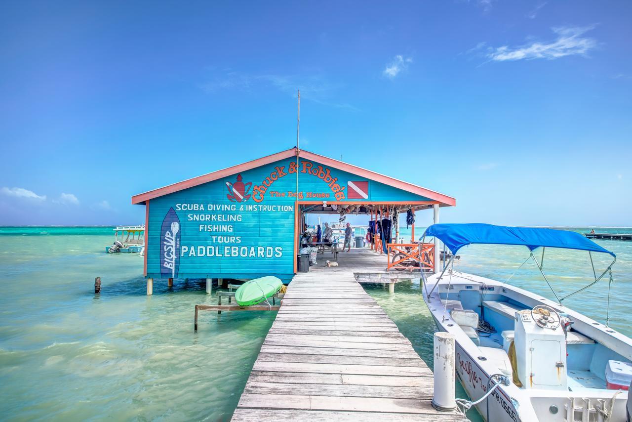 Blue Tang 3* San Pedro (Ambergris Caye)