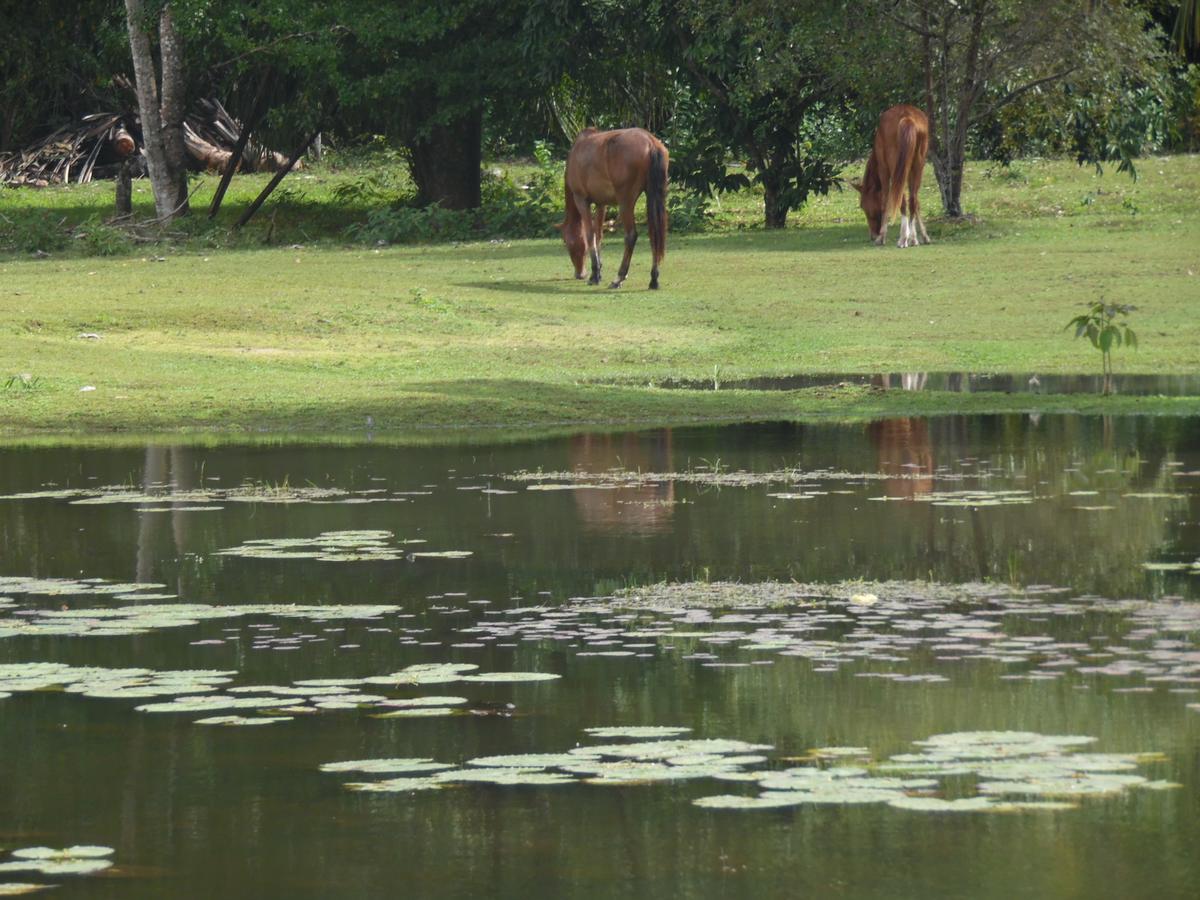 Highway Trails Belize And Country Club 4* Lucky Strike