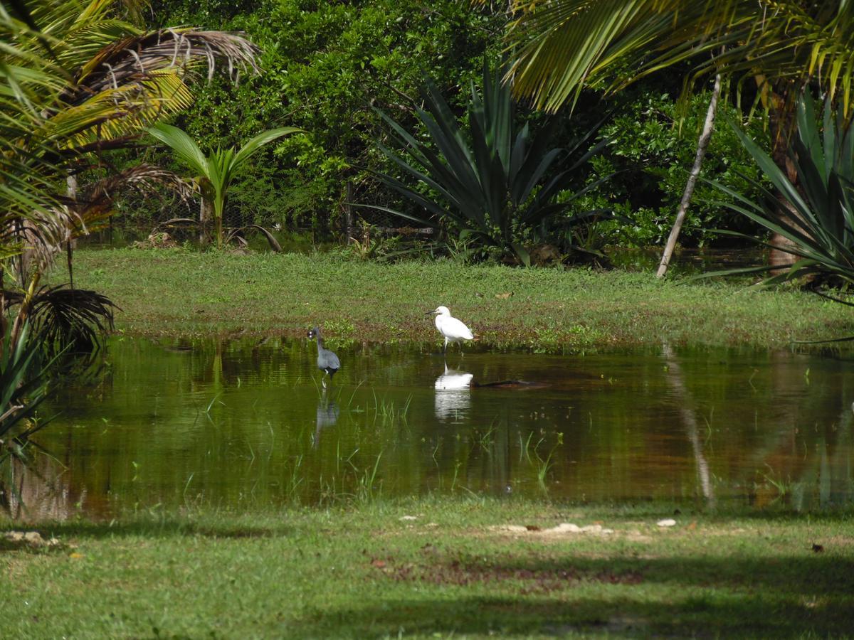 Highway Trails Belize And Country Club Resort 4*