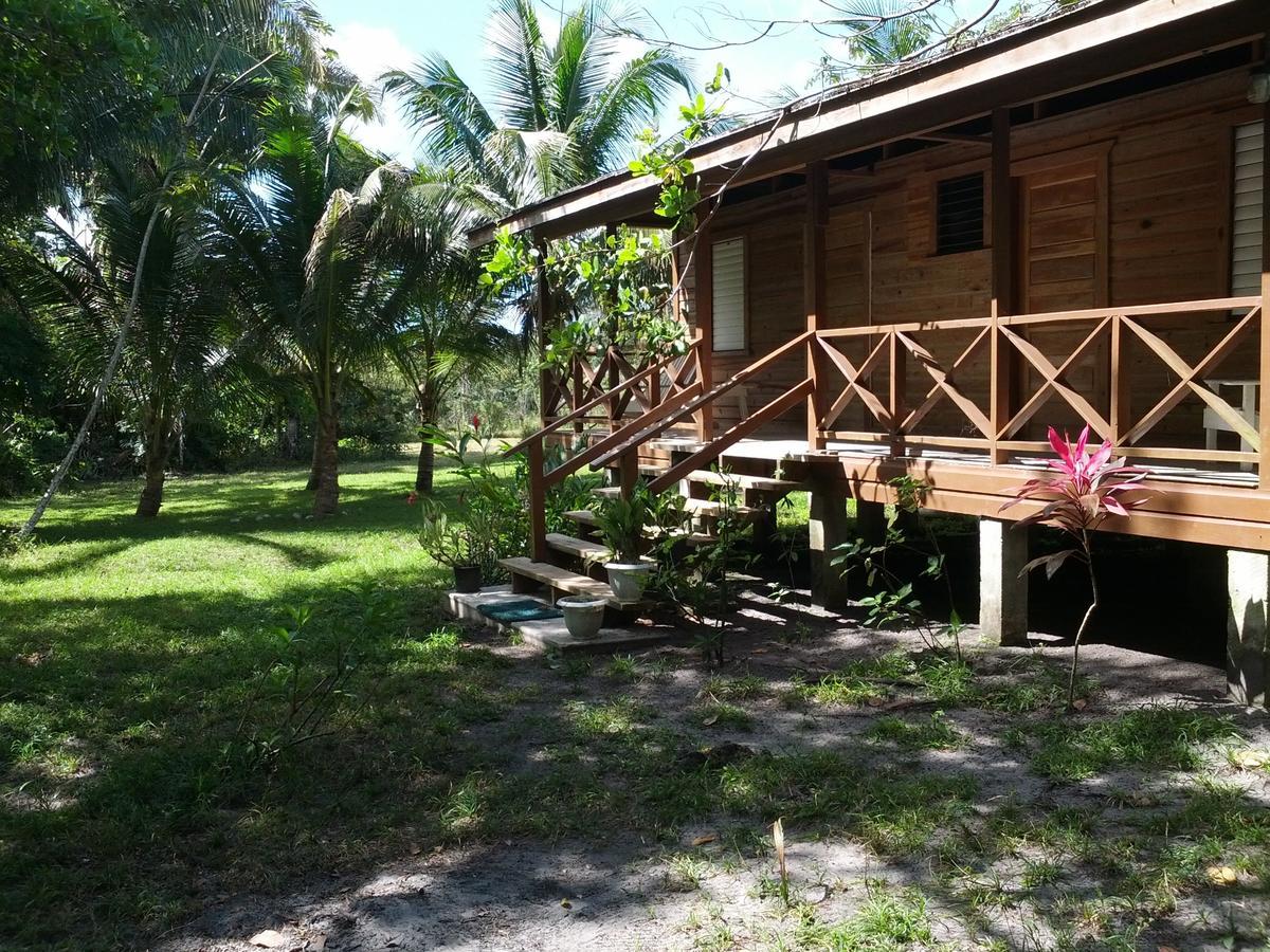 Lodge Nature