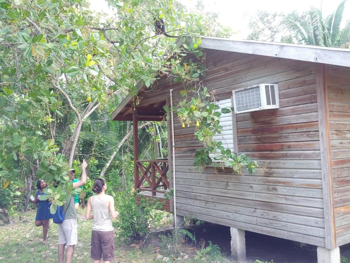 Lodge Nature