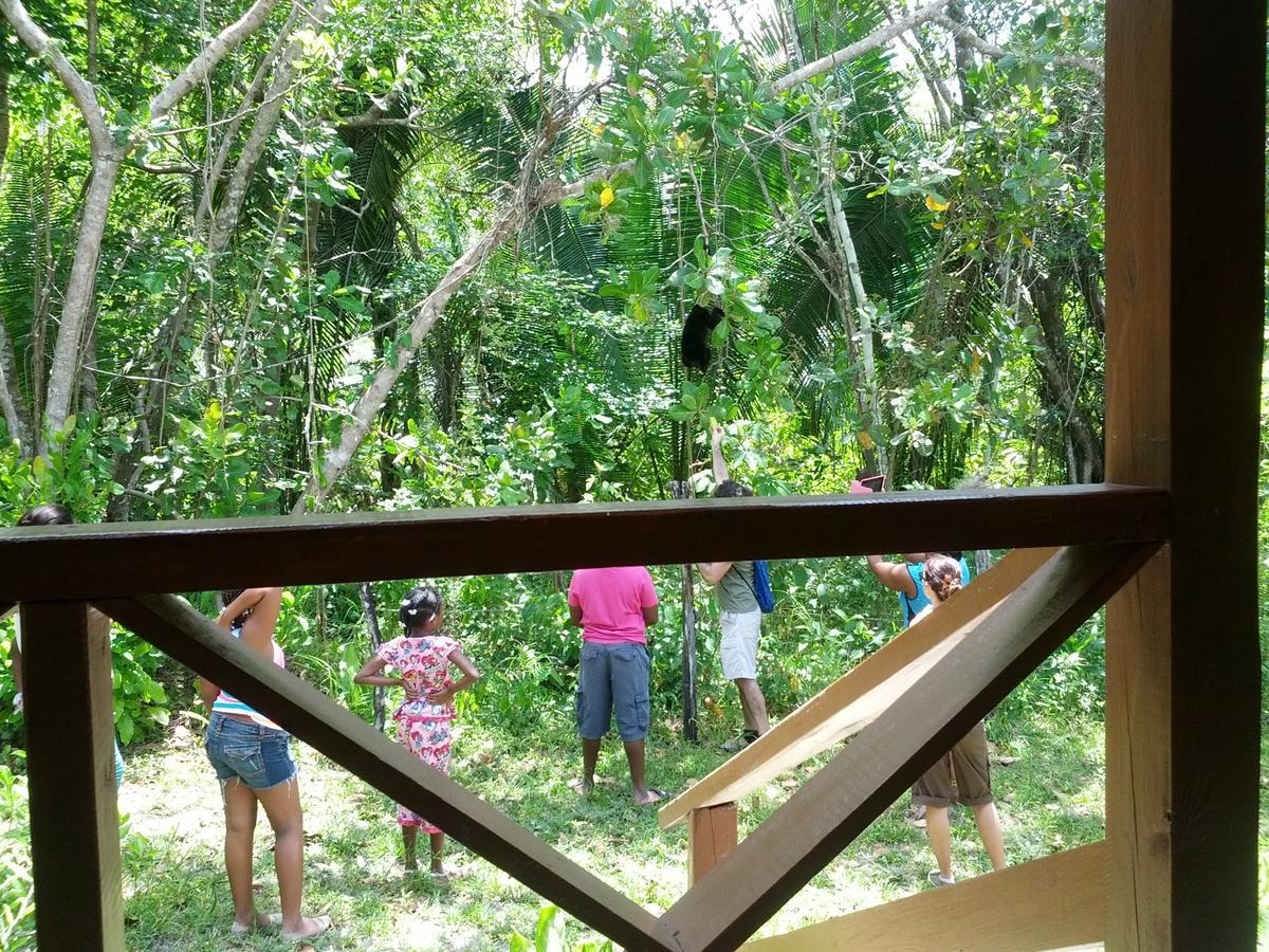 Nature Lodge *