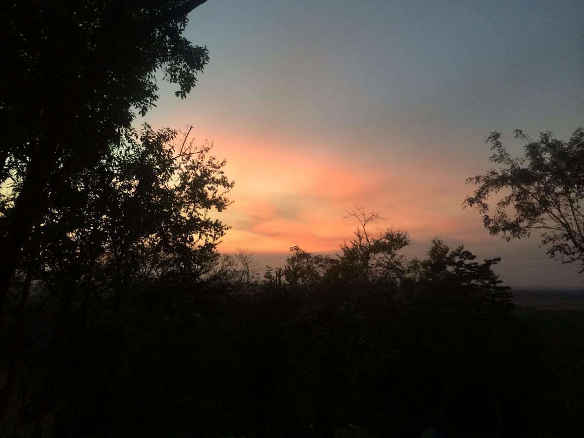 Amber Sunset Jungle San Ignacio