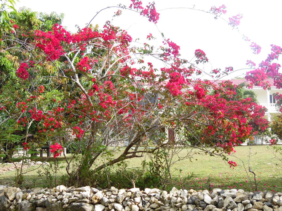 Highway Trails Belize And Country Club 4*