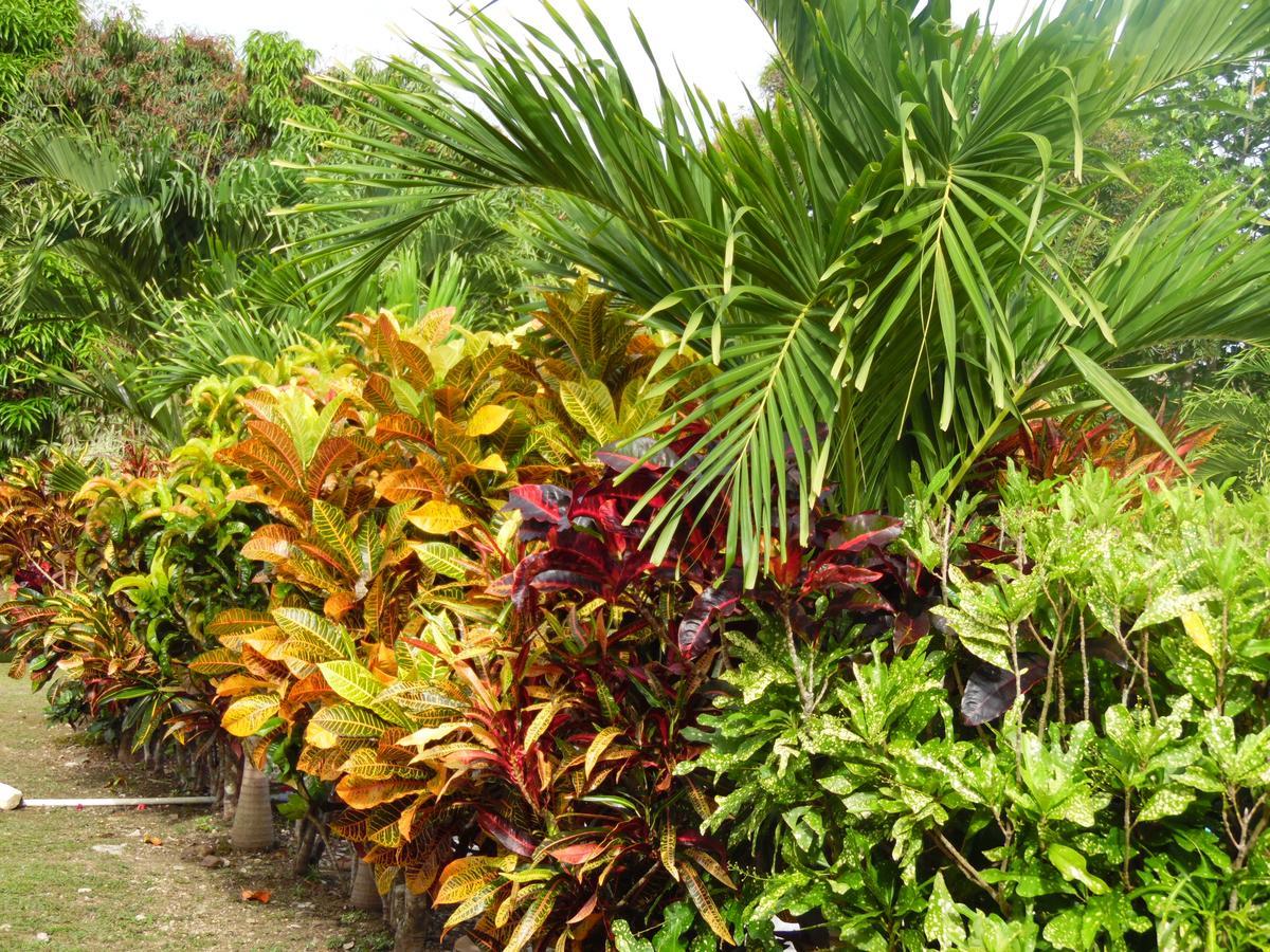 Highway Trails Belize And Country Club Resort 4*