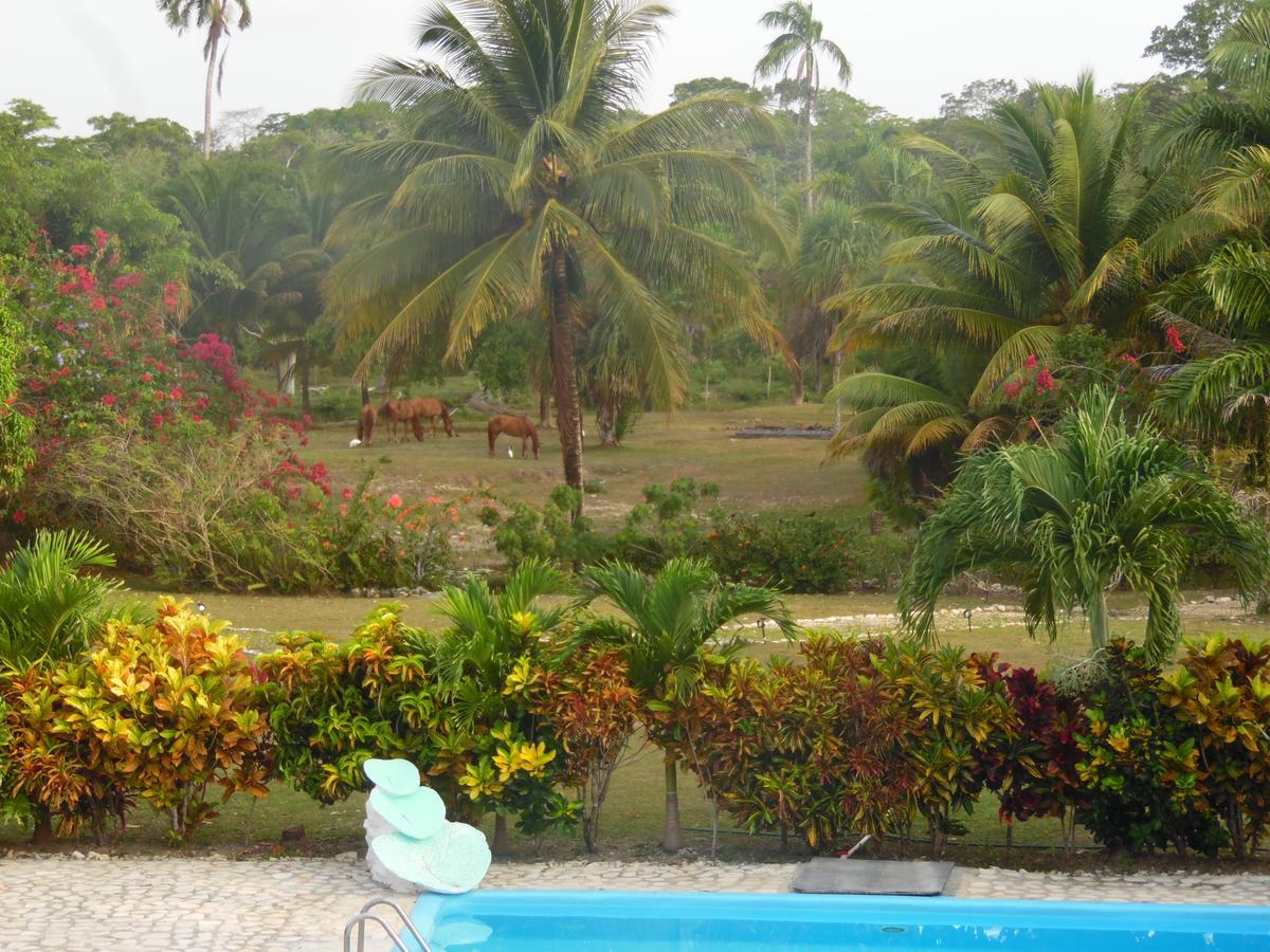 Highway Trails Belize And Country Club Resort 4*