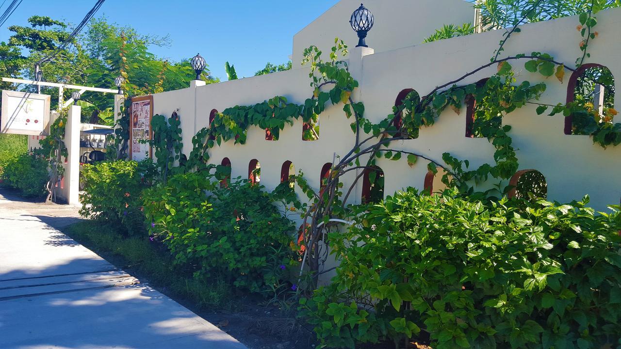Hotel Tres Cocos