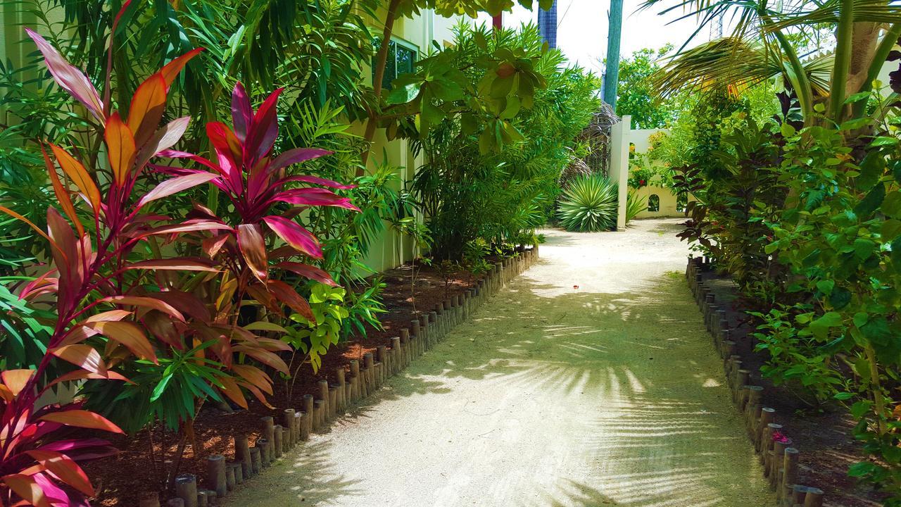 Tres Cocos Hotel San Pedro (Ambergris Caye)