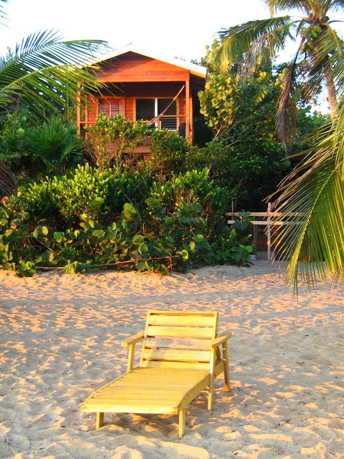 Lodge Jungle Jeanie's By The Sea