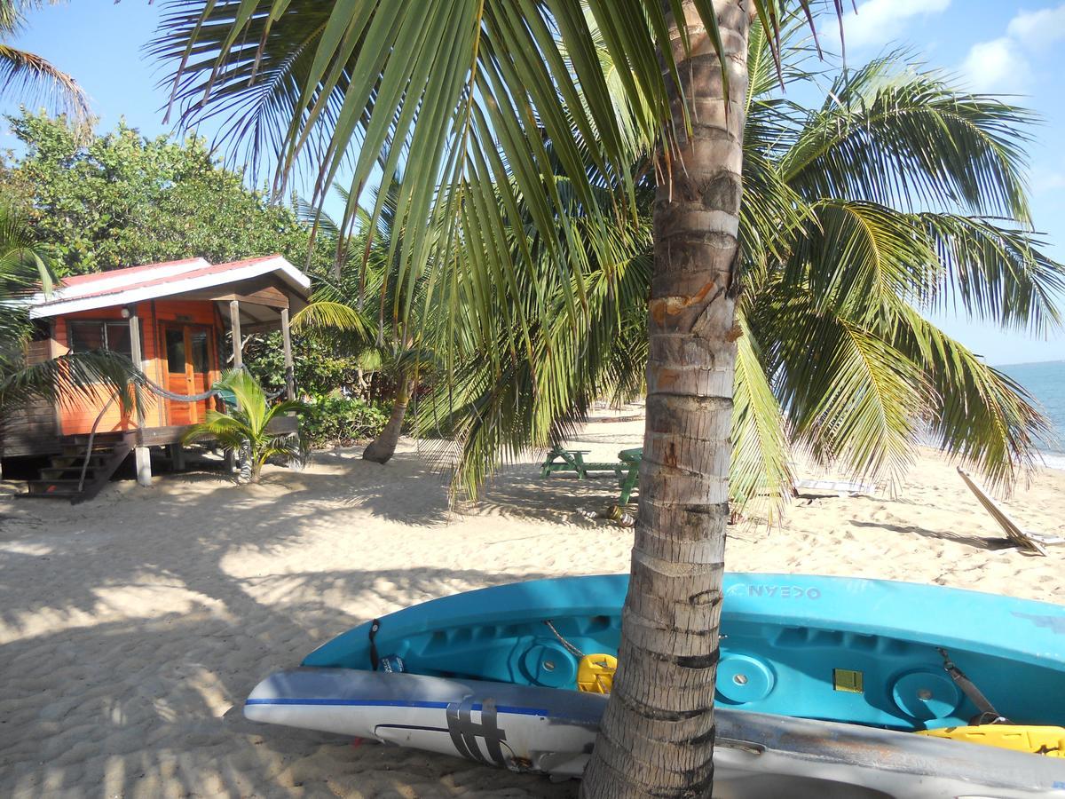 Jungle Jeanie's By The Sea * Hopkins