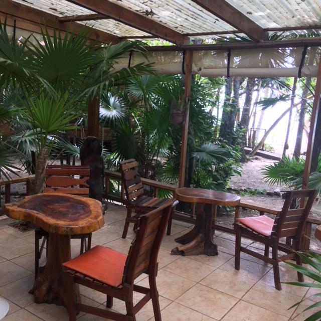Jungle Jeanie's By The Sea Lodge Hopkins