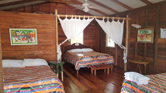 Jungle Jeanie's By The Sea Lodge