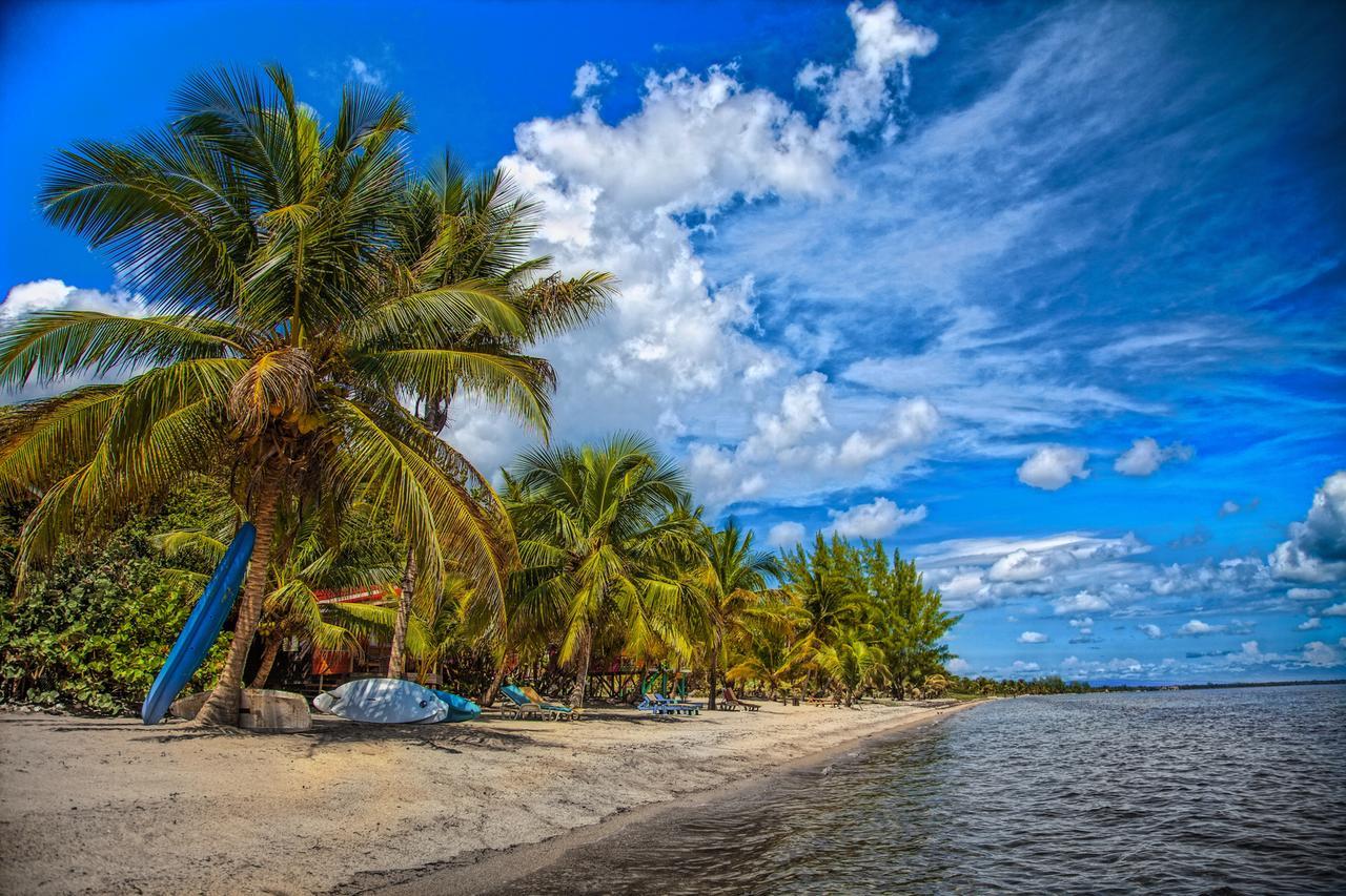 Jungle Jeanie's By The Sea Lodge *