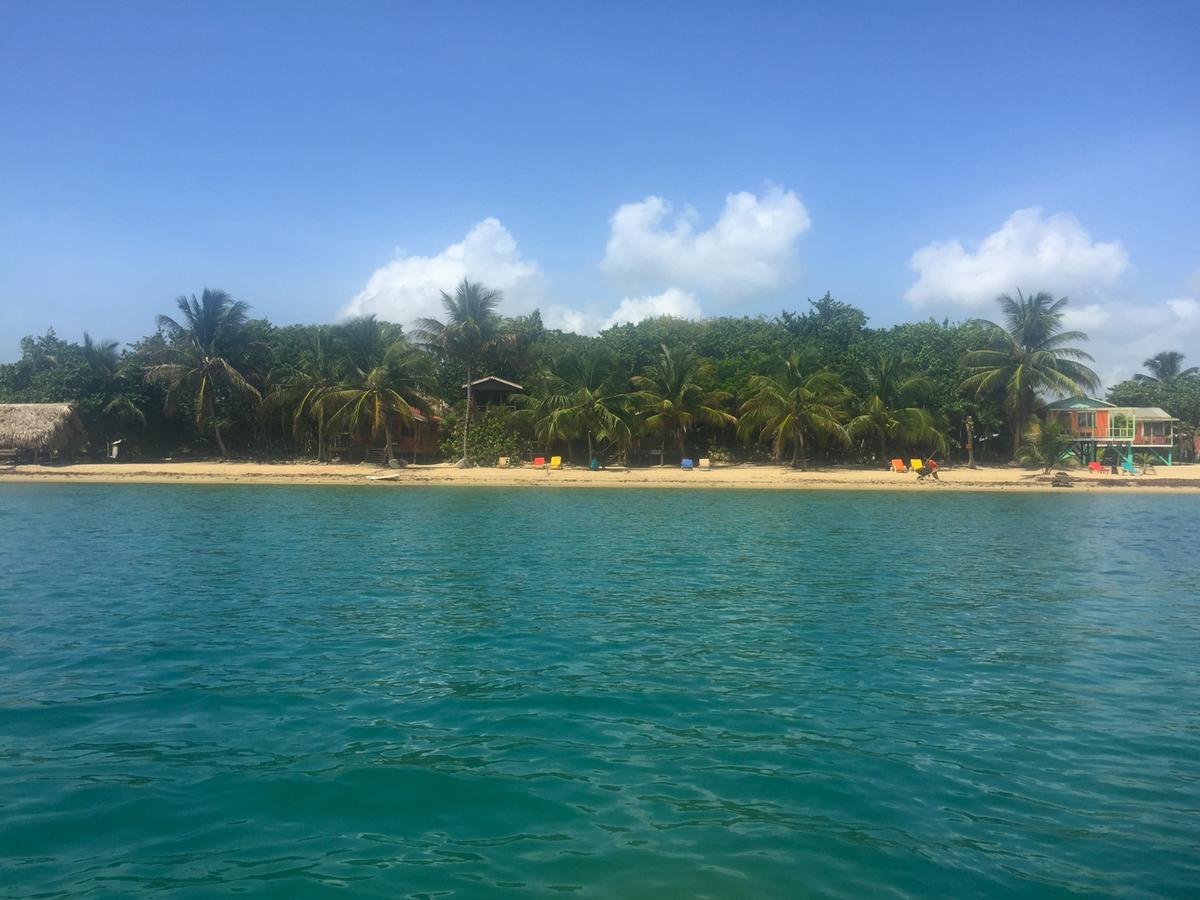 Jungle Jeanie's By The Sea * Hopkins