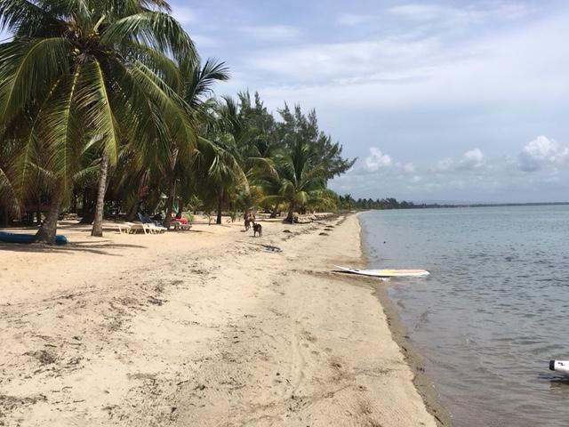 Jungle Jeanie's By The Sea