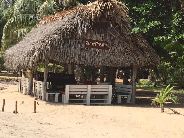 Jungle Jeanie's By The Sea Hopkins