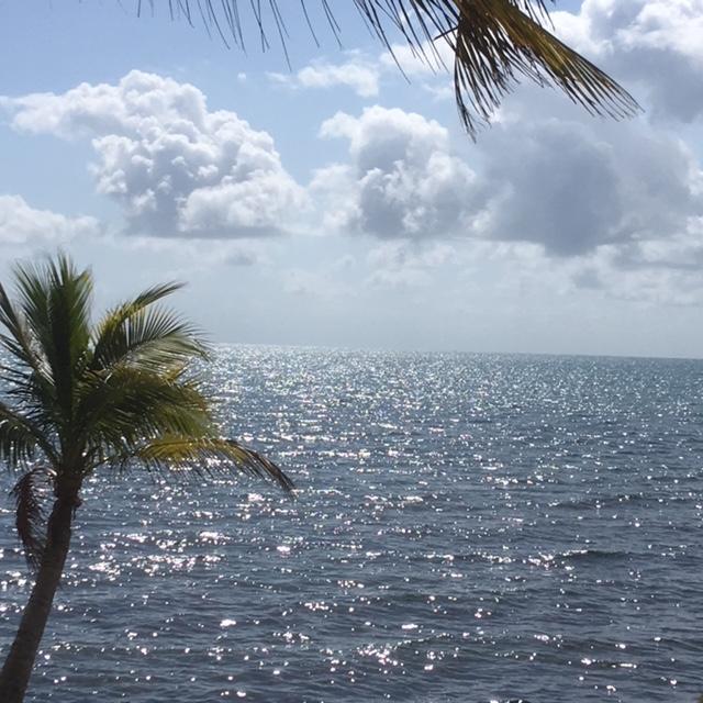 Lodge Jungle Jeanie's By The Sea Hopkins