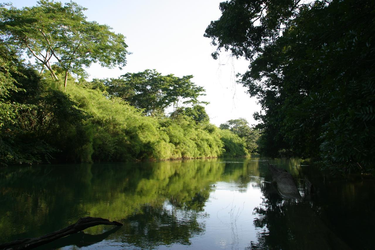 Resort Cohune Palms River 2*