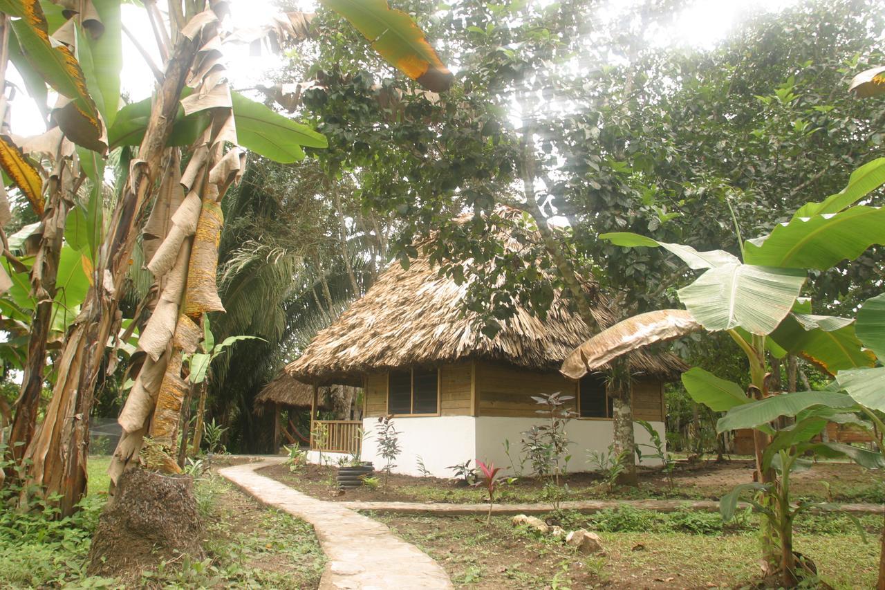 Cohune Palms River Resort Bullet Tree Falls