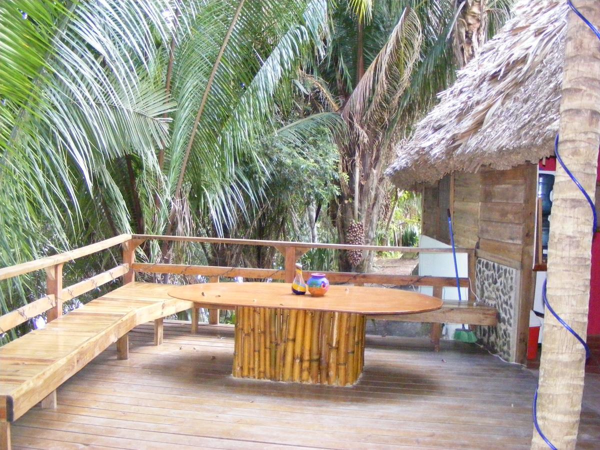 Cohune Palms River
