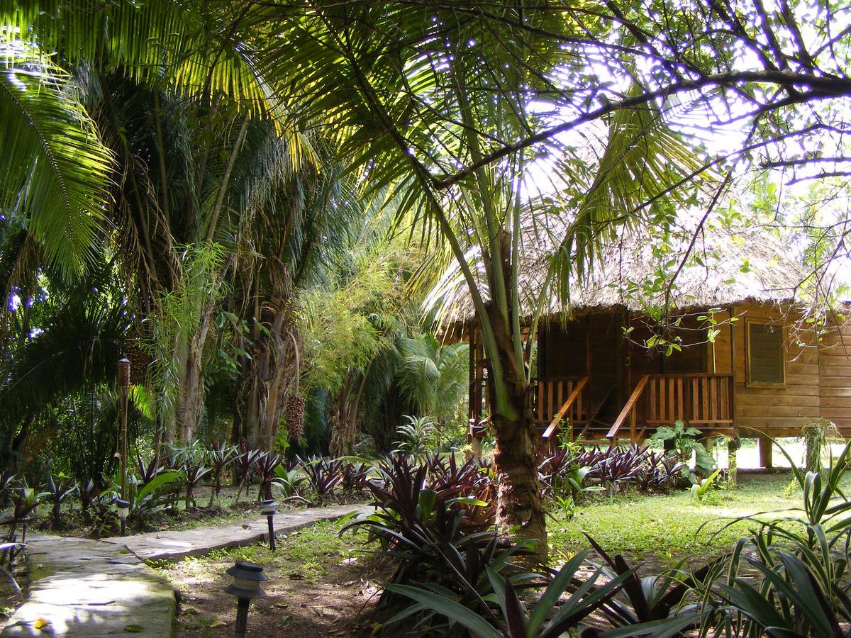 Cohune Palms River Resort 2*