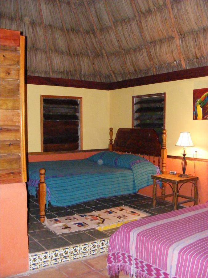 Cohune Palms River Resort Bullet Tree Falls