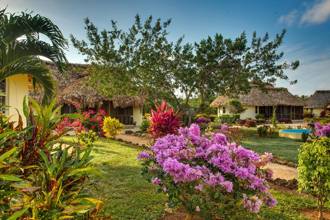 Resort Orchid Bay 4*