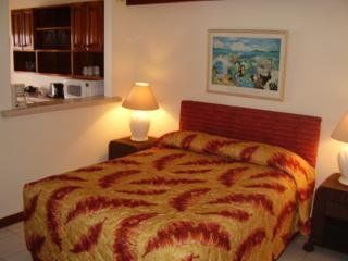 Hotel Mayan Princess
