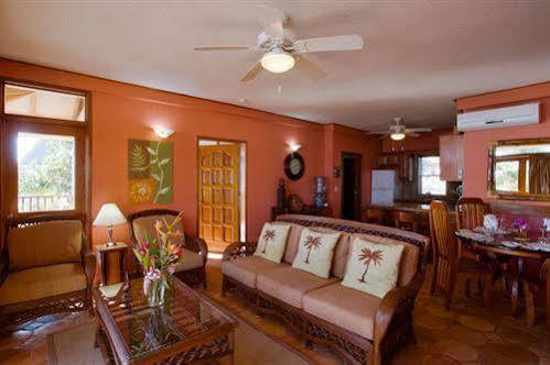 Belizean Dreams Hotel 4*
