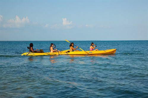 Hotel Belizean Dreams