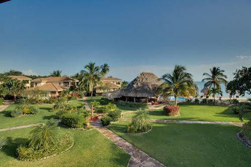 Belizean Dreams Hopkins