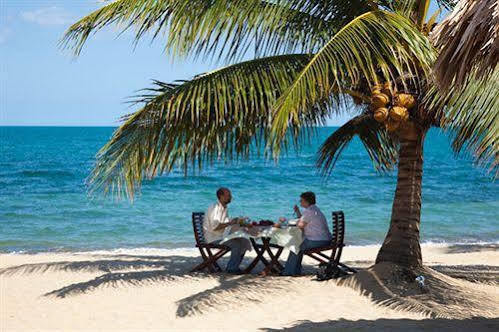 Belizean Dreams Hopkins