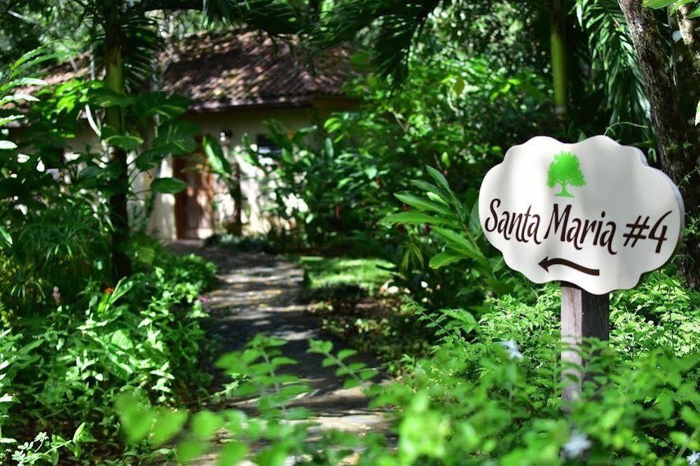 Mystic River 5* San Ignacio